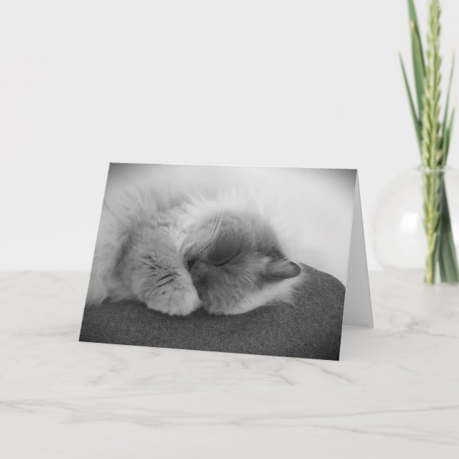 Slow Days, card (Front)