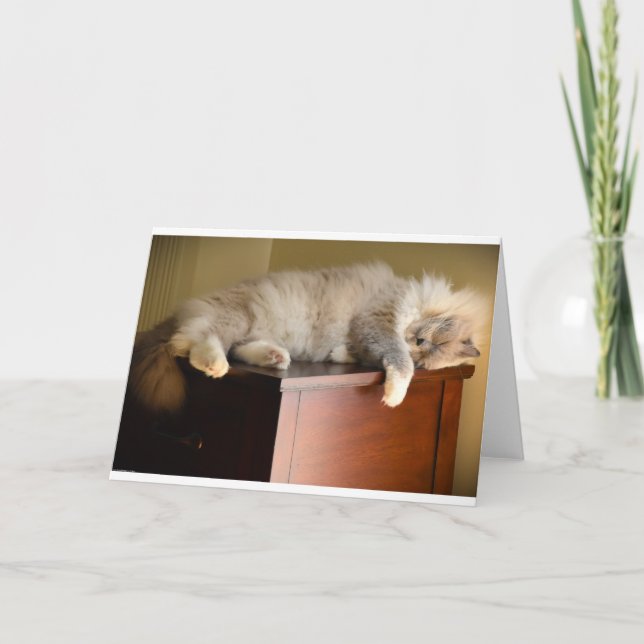 Slow Days, card (Front)