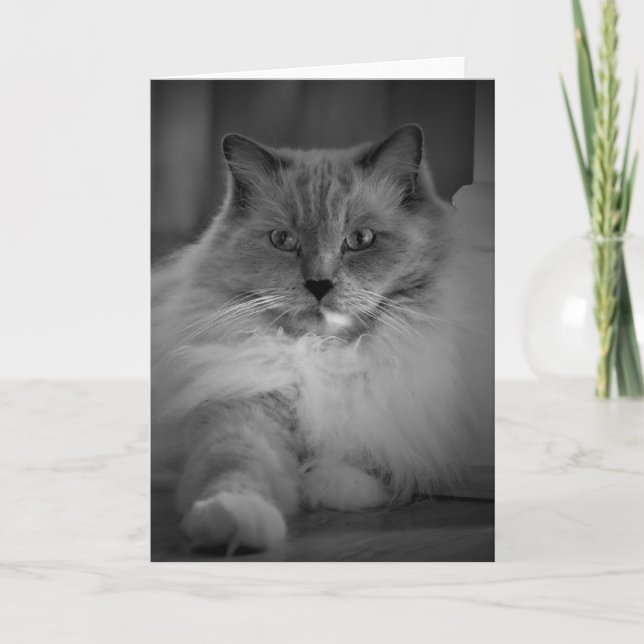 Slow Days, card (Front)