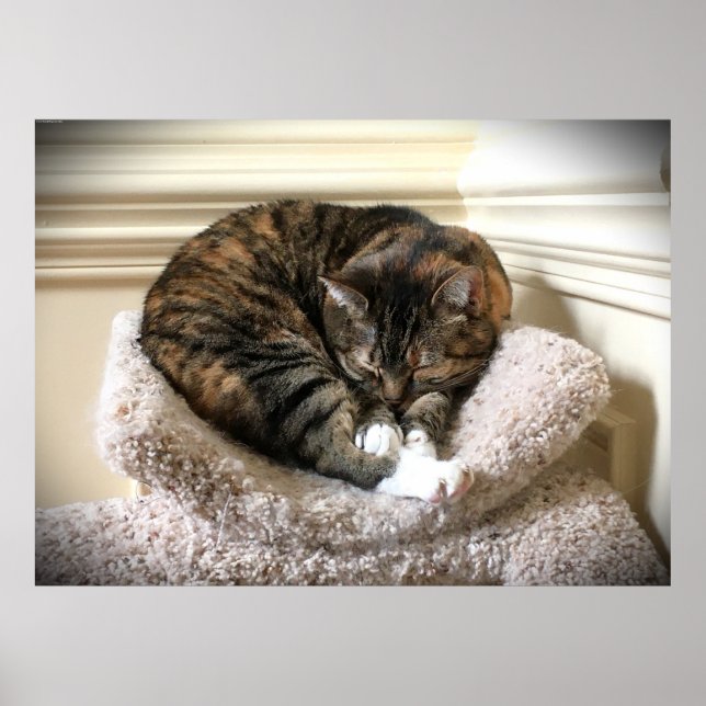 Slow Days, Poster (Front)