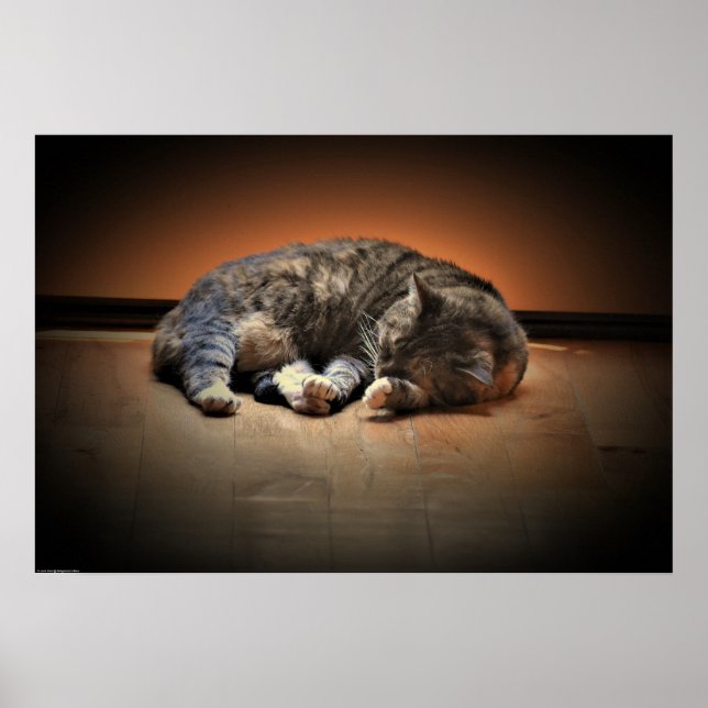 Slow Days, Poster (Front)