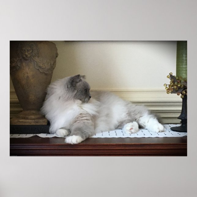 Slow Days, Poster (Front)