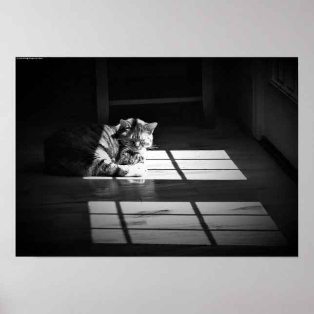 Slow Days, Poster (Front)