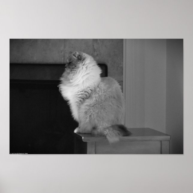 Slow Days, Poster (Front)