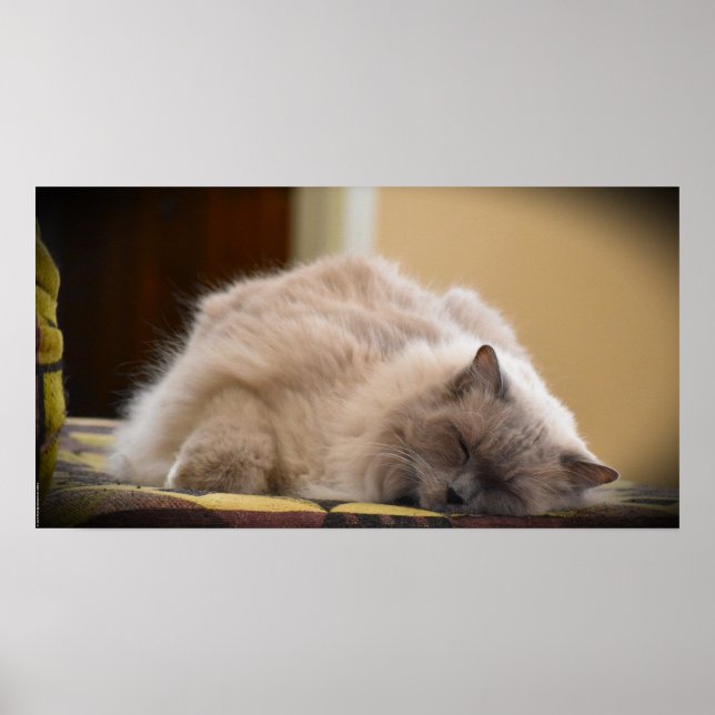 Slow Days, Poster (Front)