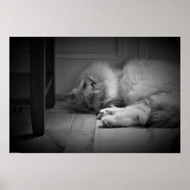 Slow Days, Poster (Front)