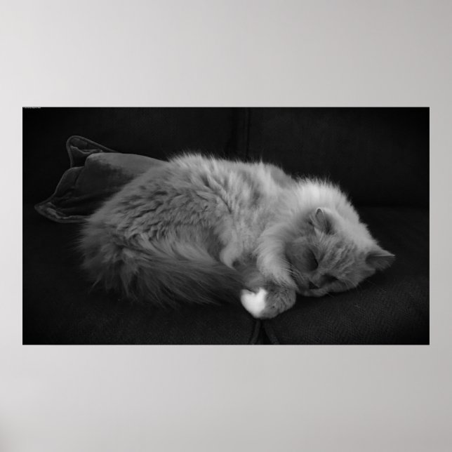 Slow Days, Poster (Front)