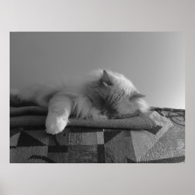 Slow Days, Poster (Front)