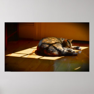Slow Days, Poster