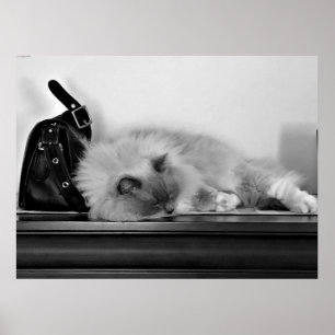 Slow Days, Poster