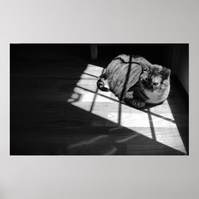 Slow Days, Poster (Front)