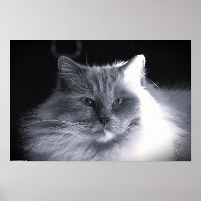 Slow Days, Poster (Front)