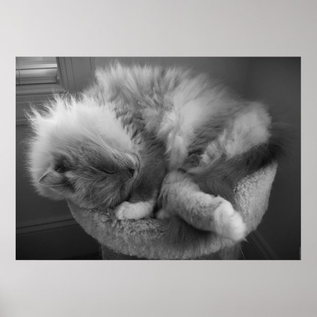 Slow Days, Poster (Front)