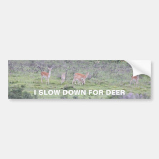 Slow down for deer bumper sticker