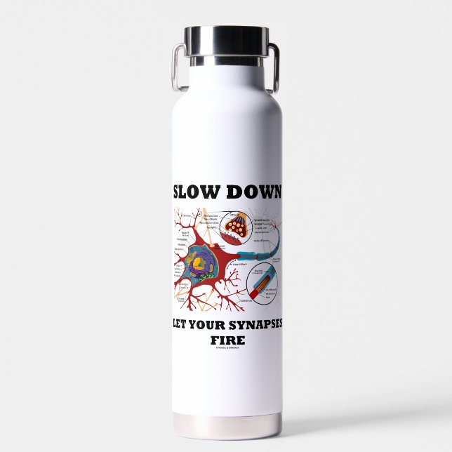 Slow Down Let Your Synapses Fire Neuron Synapse Water Bottle (Front)
