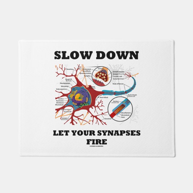 Slow Down Let Your Synapses Fire Neuropsychology Doormat (Front)