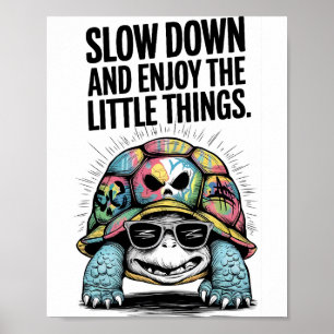 Slow Down, Turtle Poster
