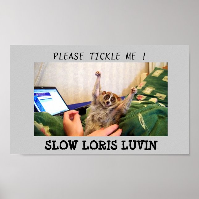 Slow Loris Luvin Poster (Front)