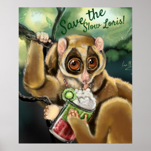 Slow Loris Smoothie Poster