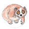 Slow Loris Stickers