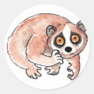 Slow Loris Stickers