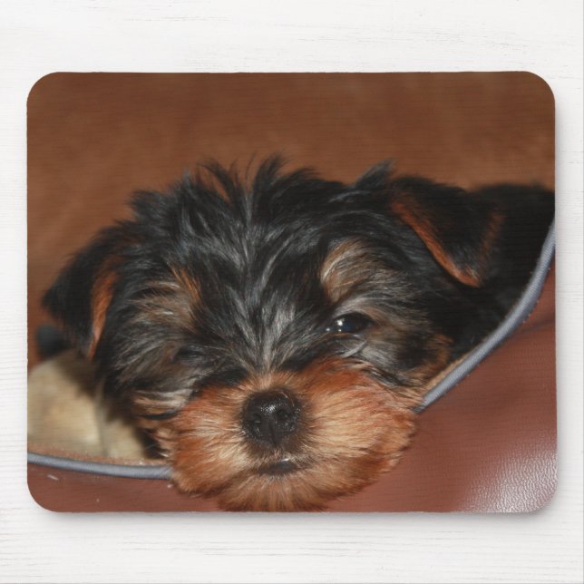 Slow Wink Closeup Mouse Pad (Front)
