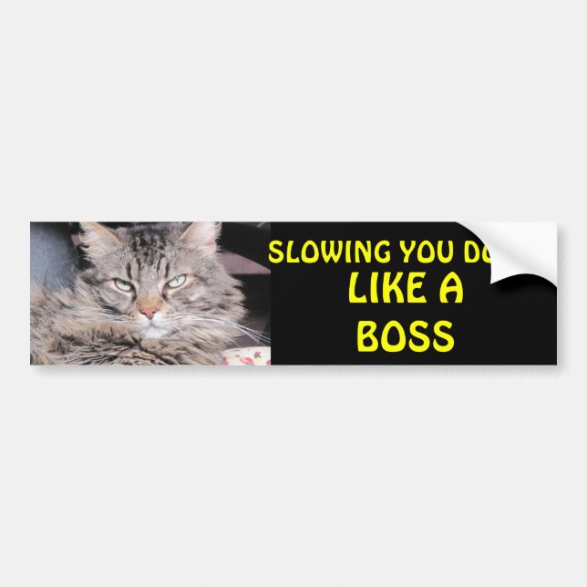 Slowing You Down Like A Boss Bumper Sticker (Front)