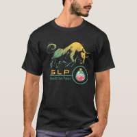 SLP Crypto BULLRUN HODL Potion Of Love SLP Coin NF