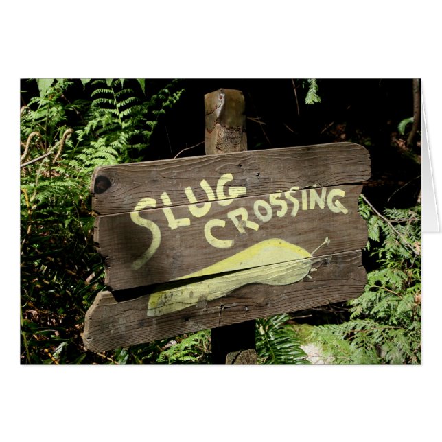Slug Crossing (Front Horizontal)