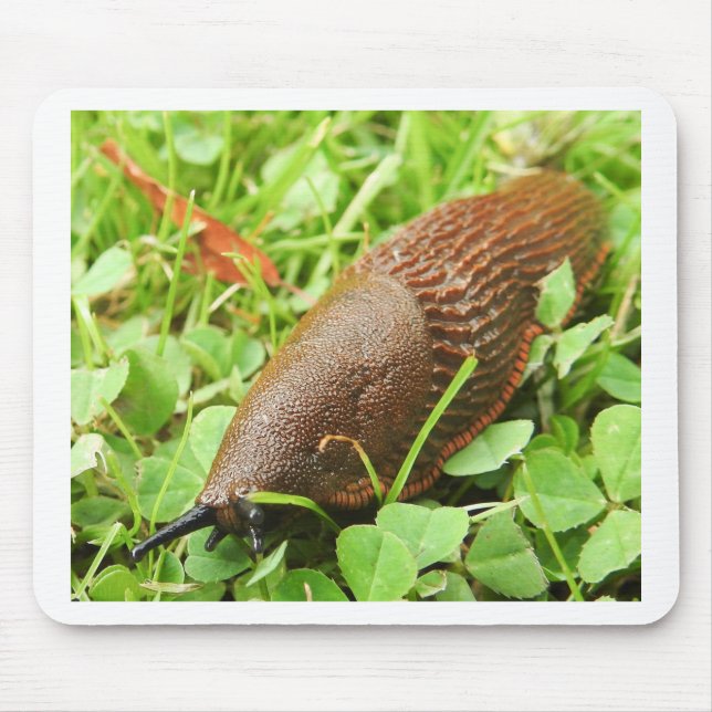Slug Mouse Pad (Front)