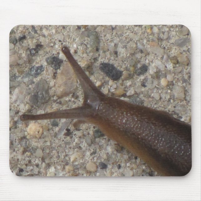 Slug Mousepad (Front)