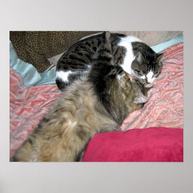 Slumber Buddies Poster (Front)