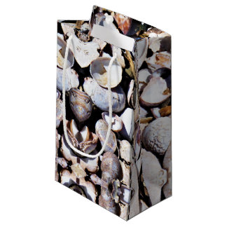 Sm Gift Bag Sea Shells