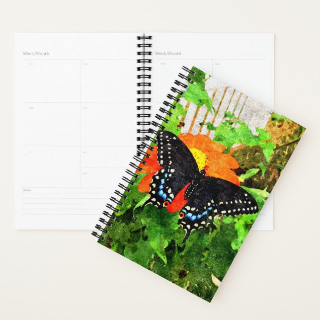 Sm Planner Black Swallowtail Graphic (Display)