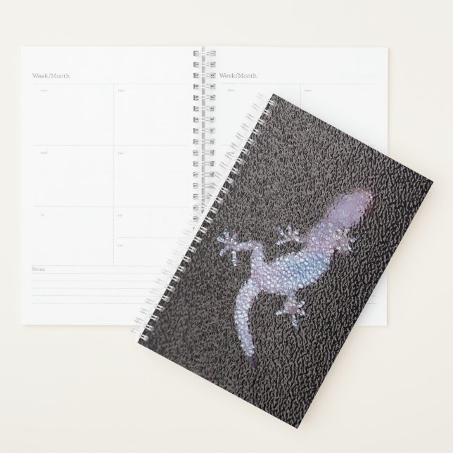 Sm Planner Gecko on Glass (Display)