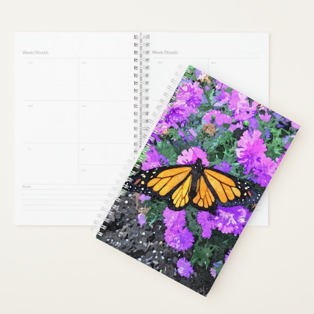 Sm Planner Monarch/Asters (Display)