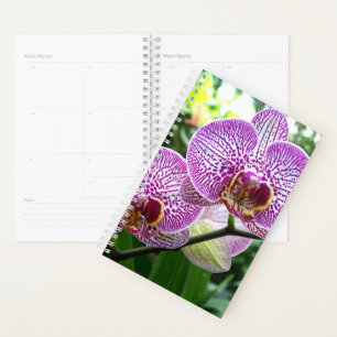 Sm Planner Orchidées à rayures violettes