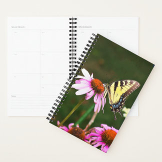 Sm Planner Tiger Swallower sur Coneflower