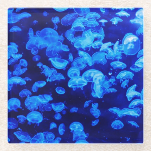 Smack of Jellyfish Glass Coaster (Front)