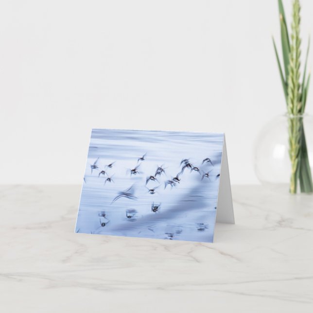 Small, 4" x 5.6" Folded Holiday Card (Front)