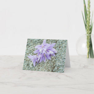 Small, 4" x 5.6" Folded Thank You Card