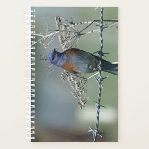 Small (5.5" x 8.5"), Soft Cover, White Spiral Plan Planner