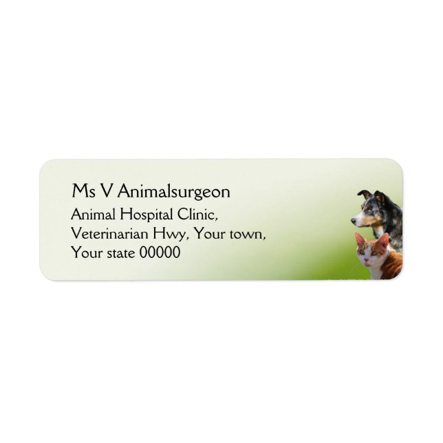 Small animal vet (Front)