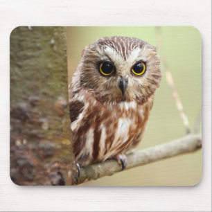 Small Baby Owl Ontarios Mouse Pad