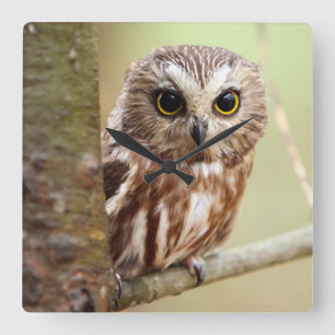 Small Baby Owl   Ontarios Square Wall Clock