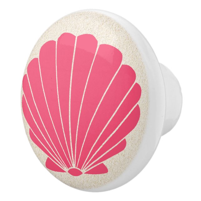 Small Beach Shell Scallop Drawer Knobs (Right)