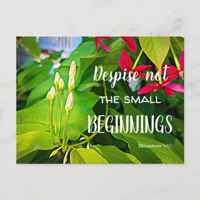 Small Beginnings Scripture Quote Inspirational Postcard (Front)