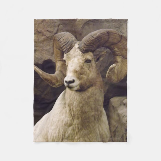 Small Big Horn Sheep Fleece Blanket (Front)