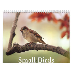 Small Bird Calendar