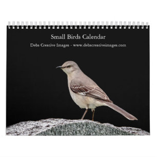 Small bird (songbird) 2026 calendar